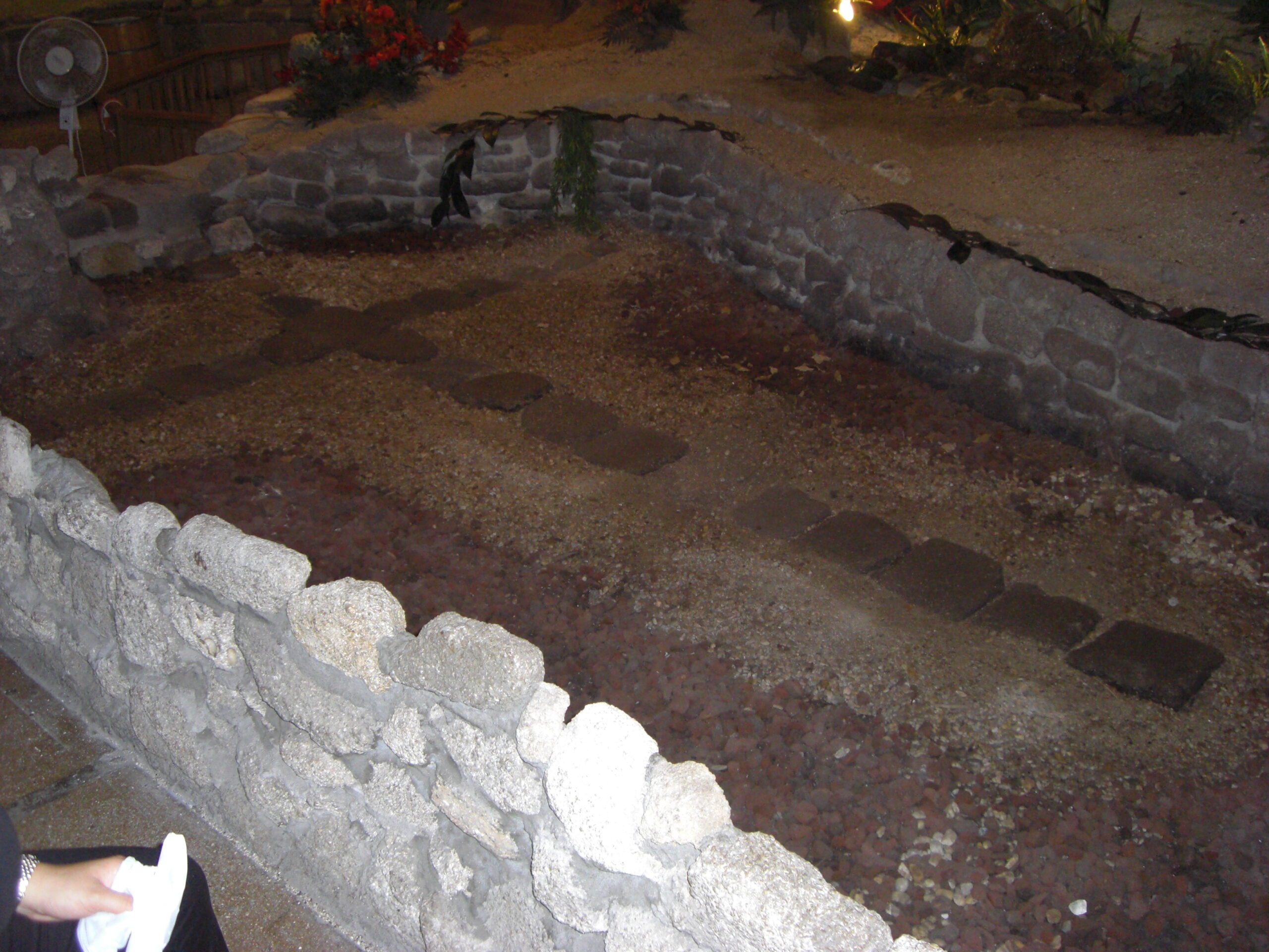 Fountain of Youth Archaeological Park