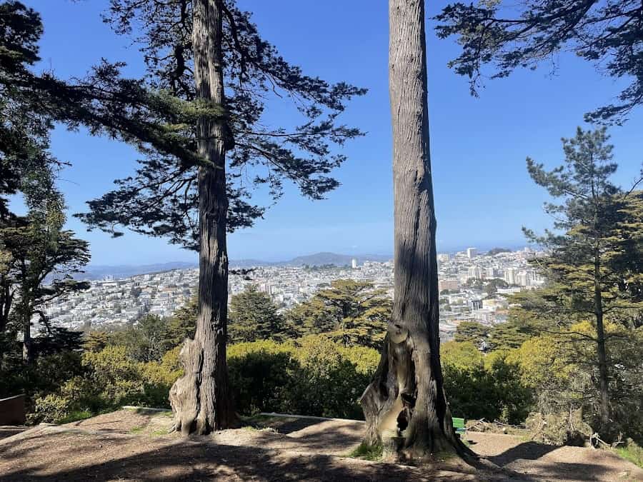 Buena Vista Park