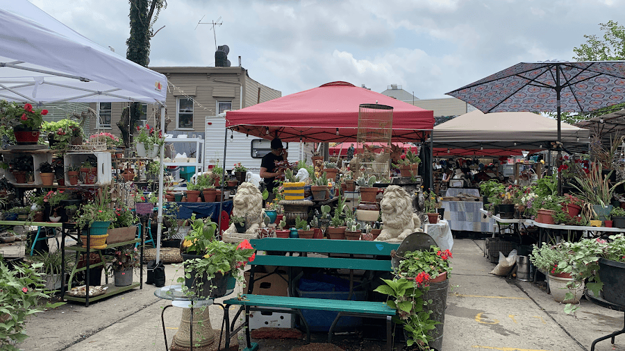 Bushwick Market