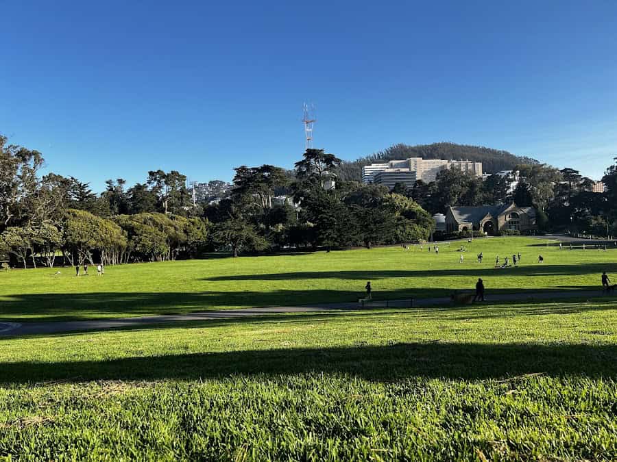 Hippie Hill