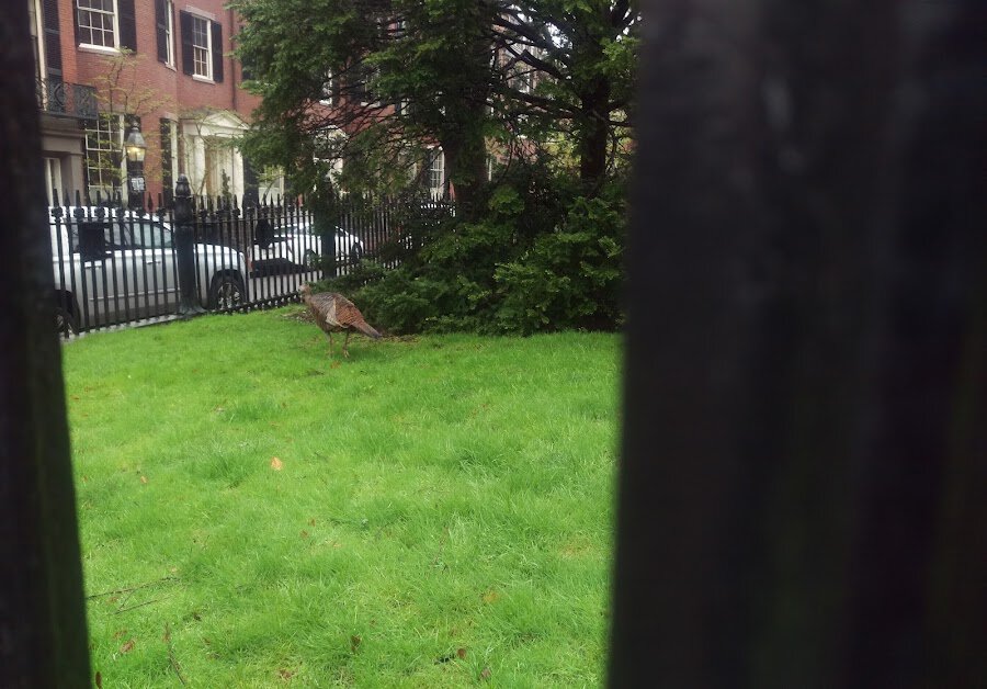 Louisburg Square