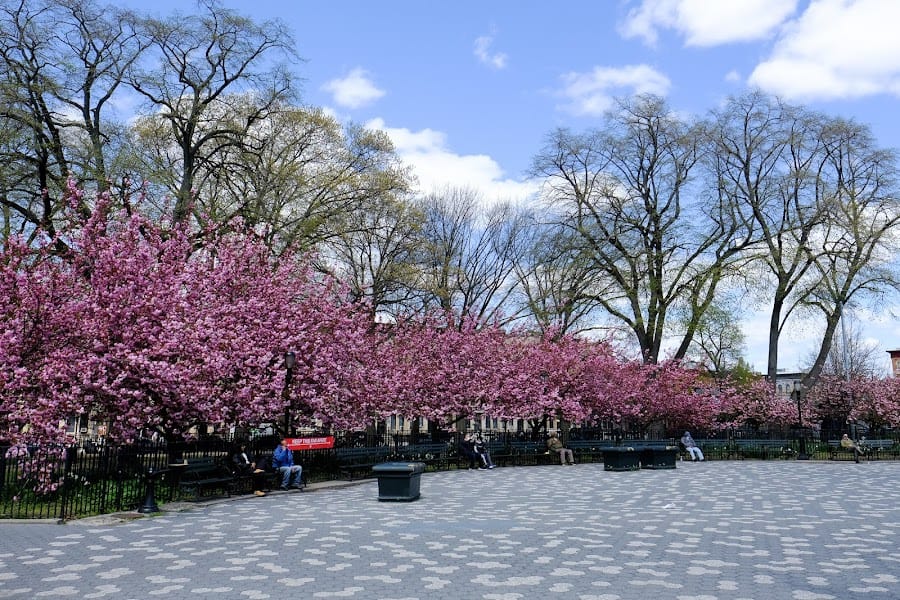 Maria Hernandez Park