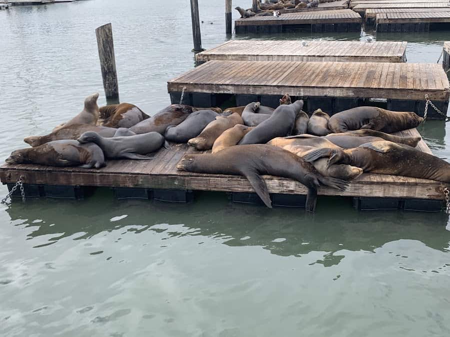 Sea Lion Center