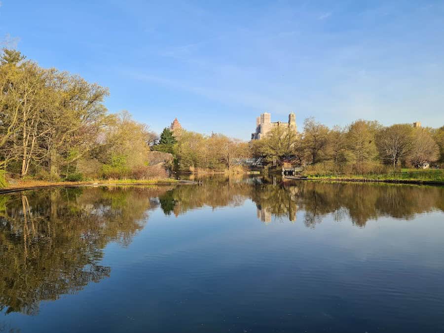 The Central Park Turtle Pond